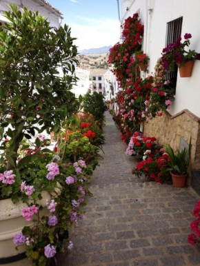 Casa de las Flores - a picture perfect location!, El Gastor